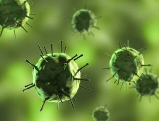 Bacteria that cause diseases in which mucosa appear