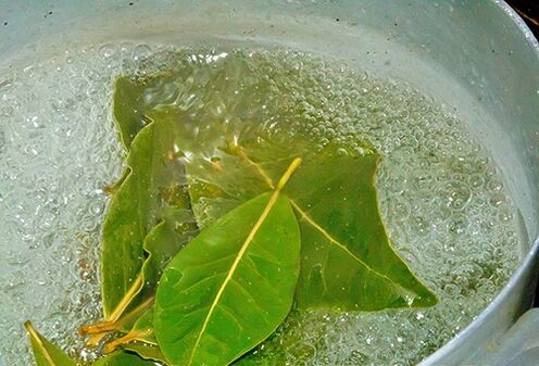 Bay leaf decoction for a relaxing bath for potency problems