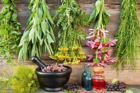 Herbs and extracts for male potency
